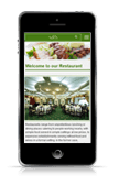 responsive web design restaurant #00011
