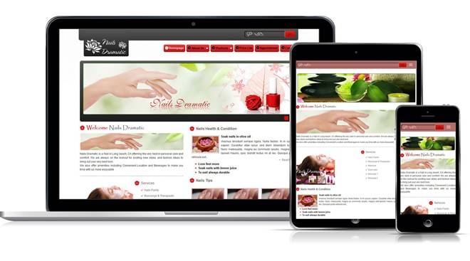 responsive web design professional